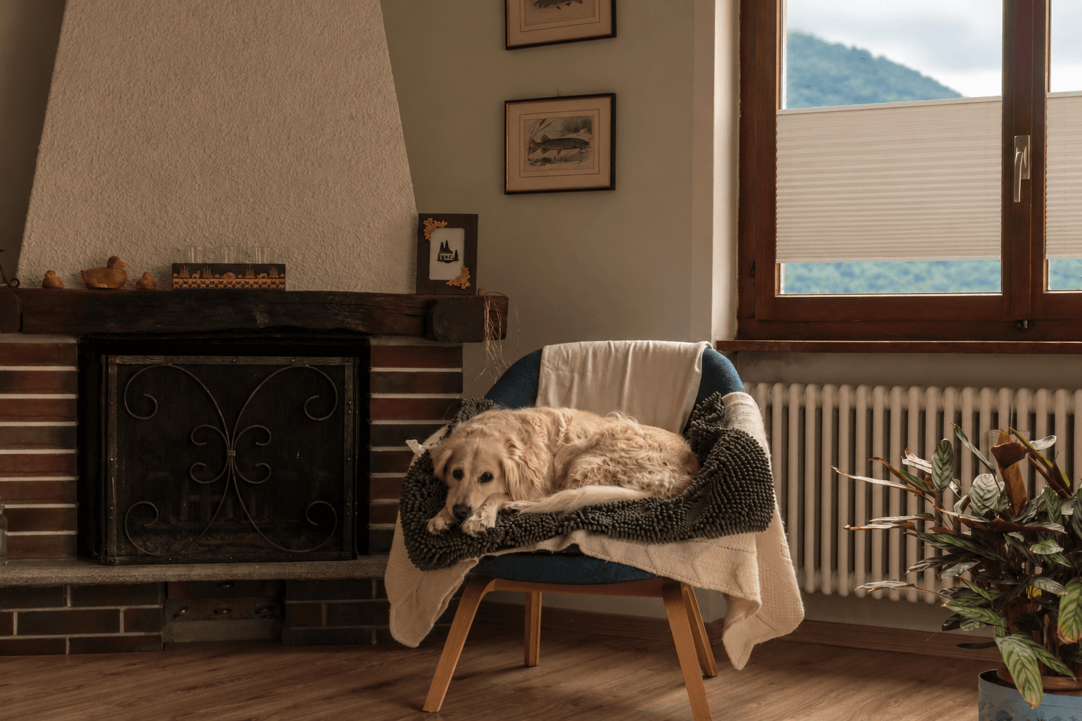 Autumn Interiors 2026 – How to Create a Warm and Cosy Home