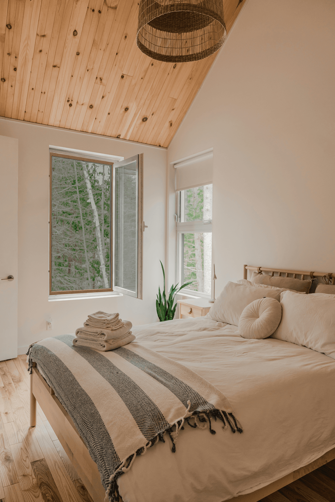 Antiallergic Mosquito Net Golden Oak